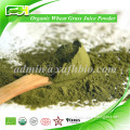 2015 New Dietary Supplements Organic Wheatgrass Juice Powder